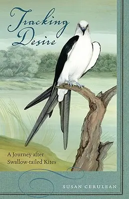 Tracciare il desiderio: un viaggio dopo il nibbio dalla coda di rondine - Tracking Desire: A Journey After Swallow-Tailed Kites