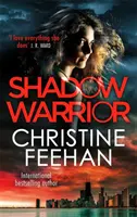 Guerriero dell'ombra - Shadow Warrior