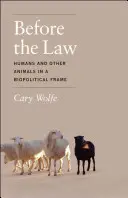 Prima della legge: Gli esseri umani e gli altri animali in una cornice biopolitica - Before the Law: Humans and Other Animals in a Biopolitical Frame