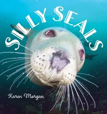 Guarnizioni sciocche - Silly Seals