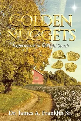 Pepite d'oro: Esperienze nel vecchio Sud - Golden Nuggets: Experiences in the Old South