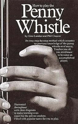 Come suonare il fischietto - How to Play the Penny Whistle