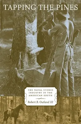 Sfruttare i pini: L'industria dei magazzini navali nel Sud americano - Tapping the Pines: The Naval Stores Industry in the American South