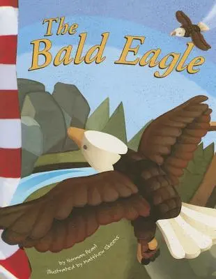 L'aquila calva - The Bald Eagle
