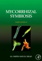 Simbiosi micorrizica - Mycorrhizal Symbiosis