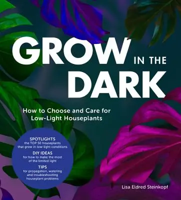 Crescere al buio: Come scegliere e curare le piante da appartamento in condizioni di scarsa illuminazione - Grow in the Dark: How to Choose and Care for Low-Light Houseplants