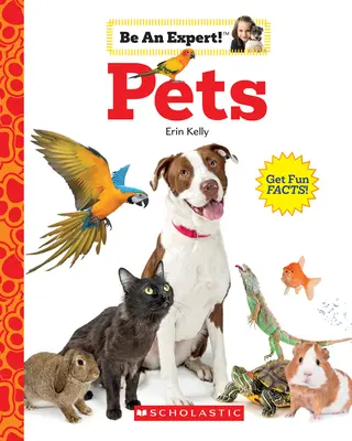 Animali domestici (Sii un esperto!) - Pets (Be an Expert!)