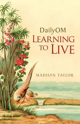 Quotidianità: Imparare a vivere - Dailyom: Learning to Live