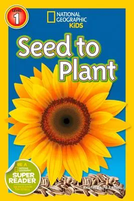 Dal seme alla pianta - Seed to Plant