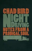 Guida notturna: Note di un'anima prodiga - Night Driving: Notes from a Prodigal Soul