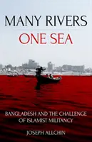Molti fiumi, un mare: Il Bangladesh e la sfida della militanza islamista - Many Rivers, One Sea: Bangladesh and the Challenge of Islamist Militancy