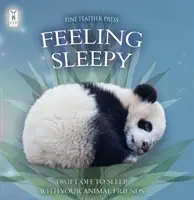 Sentire il sonno - Feeling Sleepy