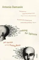 Alla ricerca di Spinoza - Gioia, dolore e il cervello dei sentimenti - Looking For Spinoza - Joy, Sorrow and the Feeling Brain