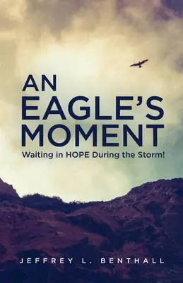 Un momento da aquila: Aspettare con speranza durante la tempesta! - An Eagle's Moment: Waiting in HOPE During the Storm!