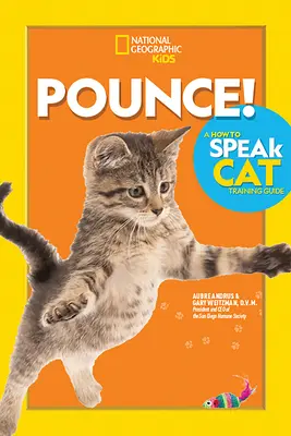 Guida all'addestramento dei gatti: come parlare Pounce! - Pounce! a How to Speak Cat Training Guide