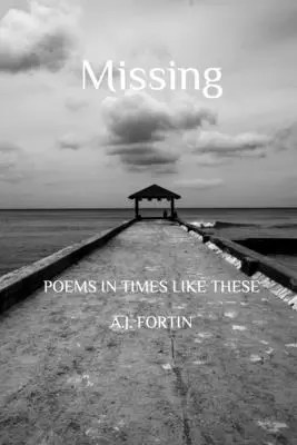 Scomparso - Missing