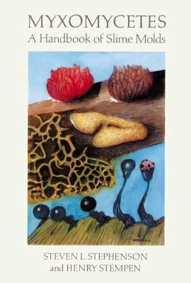 I mixomiceti - Myxomycetes