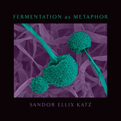 La fermentazione come metafora: Dall'autore del bestseller “L'arte della fermentazione”. - Fermentation as Metaphor: From the Author of the Bestselling the Art of Fermentation