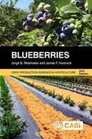 Mirtilli - Blueberries
