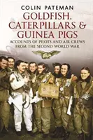 Pesci rossi bruchi e porcellini d'India - Racconti di piloti ed equipaggi della Seconda guerra mondiale - Goldfish Caterpillars & Guinea Pigs - Accounts of Pilots and Air Crews from World War II