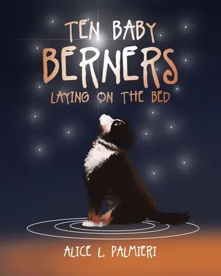 Dieci cuccioli di berner sdraiati sul letto - Ten Baby Berners Laying on the Bed