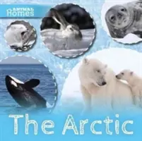Artico - Arctic