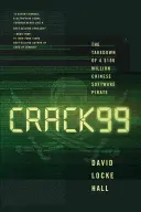 Crack99: L'eliminazione di un pirata del software cinese da 100 milioni di dollari - Crack99: The Takedown of a $100 Million Chinese Software Pirate