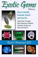 Gemme esotiche - Volume 3: Come identificare, valutare, selezionare e curare l'opale matrice, l'agata di fuoco, il calcedonio blu, la rubellite, l'indicolite, la paraiba e altre gemme esotiche - Exotic Gems - Volume 3: How to Identify, Evaluate, Select & Care for Matrix Opal, Fire Agate, Blue Chalcedony, Rubellite, Indicolite, Paraiba & Other