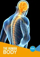 Il corpo umano - Human Body