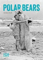 Orsi polari - Polar Bears
