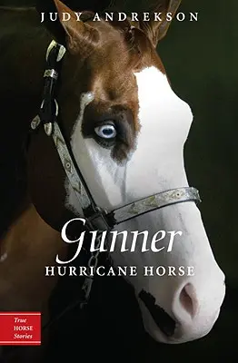 Gunner: Cavallo uragano - Gunner: Hurricane Horse