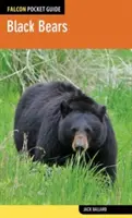 Orsi neri - Black Bears