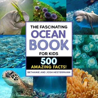 L'affascinante libro degli oceani per bambini: 500 fatti incredibili! - The Fascinating Ocean Book for Kids: 500 Incredible Facts!