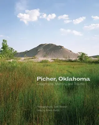 Picher, Oklahoma, 20: catastrofe, memoria e trauma - Picher, Oklahoma, 20: Catastrophe, Memory, and Trauma