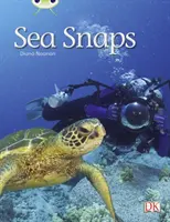 Bug Club Independent Non Fiction Anno 1 Verde A Sea Snaps - Bug Club Independent Non Fiction Year 1 Green A Sea Snaps