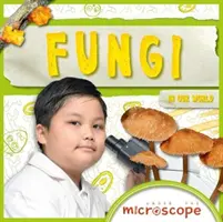 Funghi - Fungi