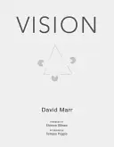 Visione: Un'indagine computazionale sulla rappresentazione e l'elaborazione umana delle informazioni visive - Vision: A Computational Investigation Into the Human Representation and Processing of Visual Information