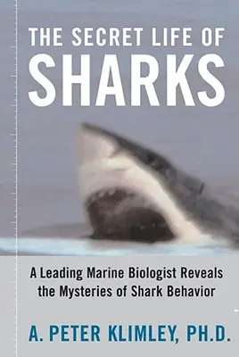 La vita segreta degli squali: Un importante biologo marino svela i misteri del comportamento degli squali - The Secret Life of Sharks: A Leading Marine Biologist Reveals the Mysteries of Shark Behavior