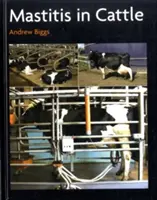 Mastite nel bestiame - Mastitis In Cattle