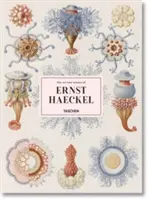L'arte e la scienza di Ernst Haeckel - The Art and Science of Ernst Haeckel