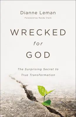 Naufragare per Dio: Il sorprendente segreto della vera trasformazione - Wrecked for God: The Surprising Secret to True Transformation