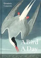 Un uccello al giorno - A Bird a Day