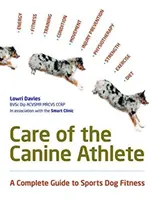 Cura dell'atleta canino - Care Of The Canine Athlete