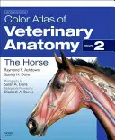 Atlante a colori di anatomia veterinaria, volume 2, il cavallo - Color Atlas of Veterinary Anatomy, Volume 2, the Horse