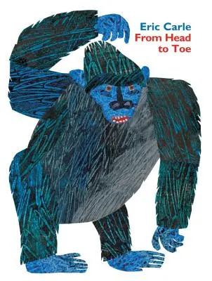 Dalla testa ai piedi Libro di bordo imbottito - From Head to Toe Padded Board Book