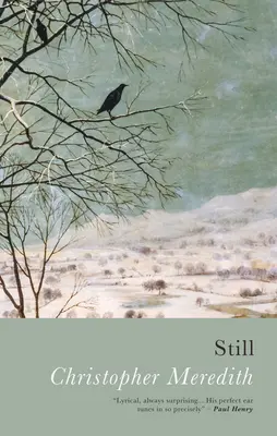 Ancora - Still