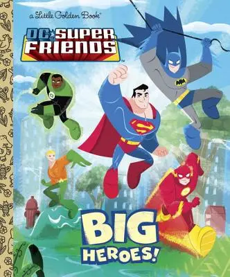 DC Super Friends: Grandi eroi! - DC Super Friends: Big Heroes!