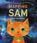 Mappare Sam - Mapping Sam
