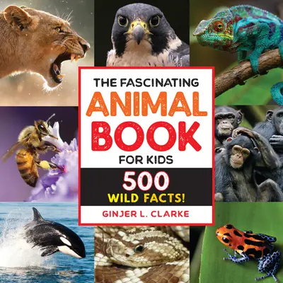 L'affascinante libro degli animali per bambini: 500 fatti selvaggi! - The Fascinating Animal Book for Kids: 500 Wild Facts!