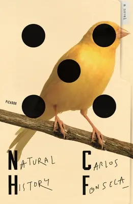 Storia naturale - Natural History
